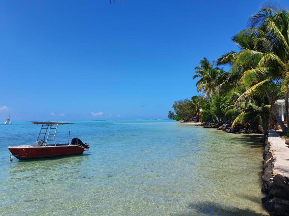 Moorea - Bungalow Chez Papou Afareaitu 외부 사진