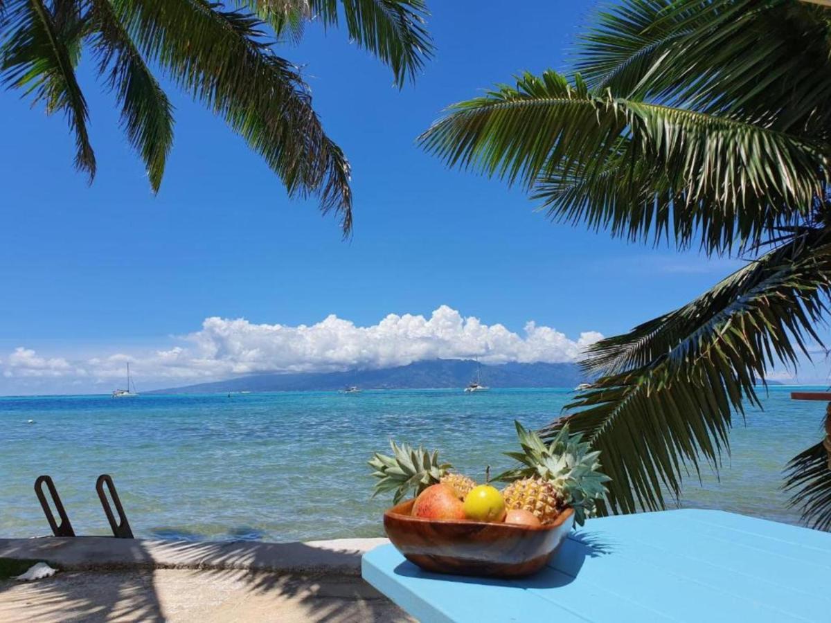 Moorea - Bungalow Chez Papou Afareaitu 외부 사진