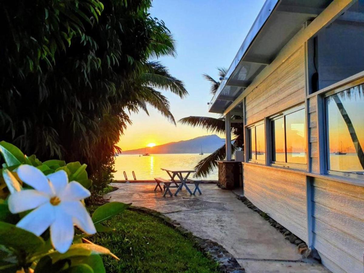 Moorea - Bungalow Chez Papou Afareaitu 외부 사진