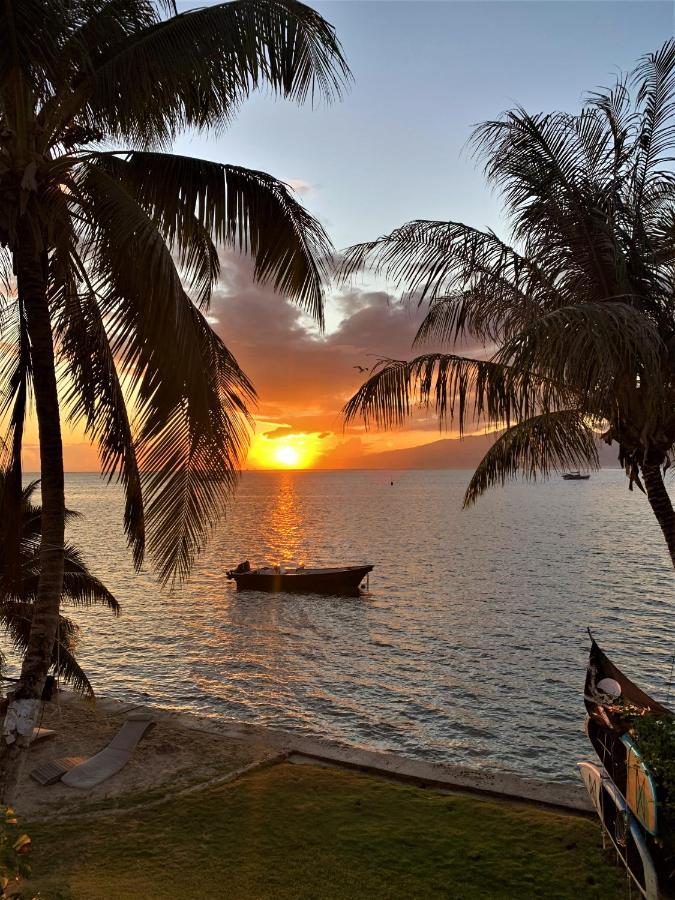 Moorea - Bungalow Chez Papou Afareaitu 외부 사진